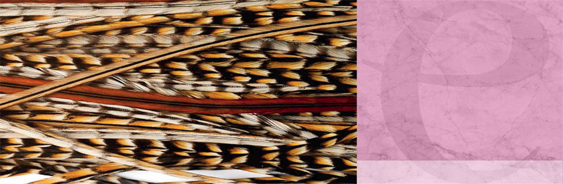 Piume-Extensioni Piume-Extensioni